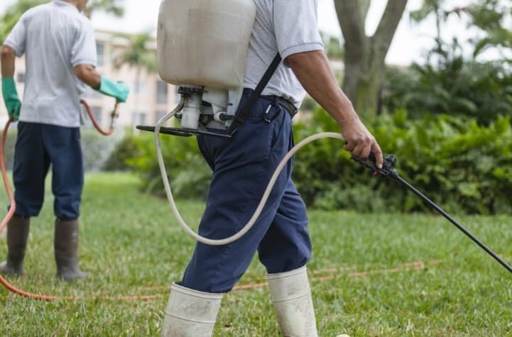 افضل شركة مكافحة حشرات